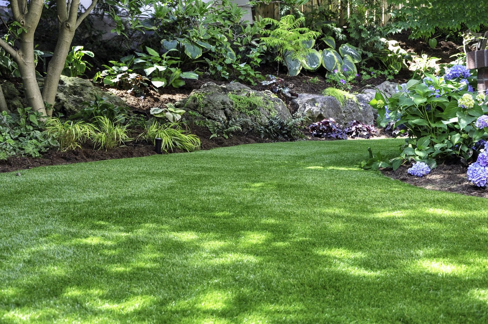 Canteros definidos con plantas, césped y composición paisajística